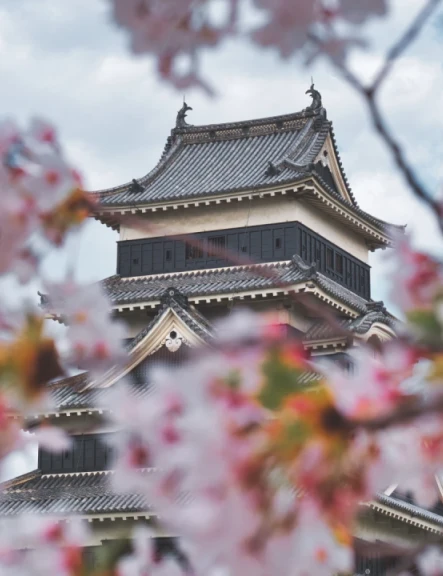 Image experiente-autentice-in-japonia-13535